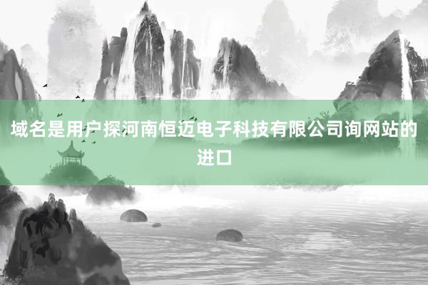 域名是用户探河南恒迈电子科技有限公司询网站的进口
