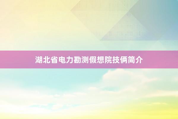 湖北省电力勘测假想院技俩简介