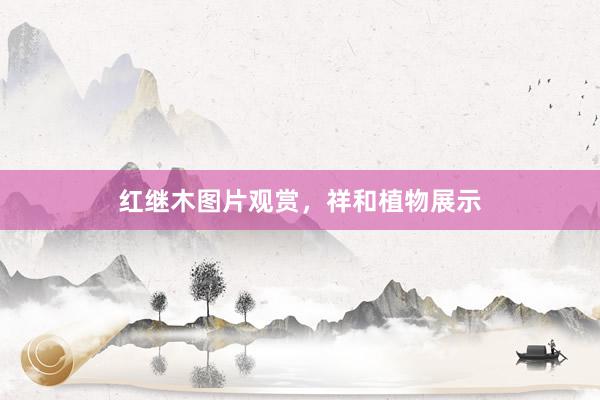 红继木图片观赏，祥和植物展示