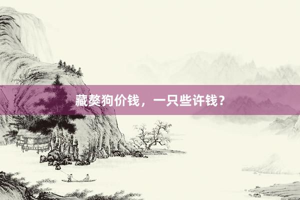 藏獒狗价钱，一只些许钱？