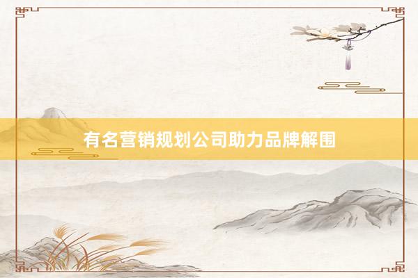 有名营销规划公司助力品牌解围