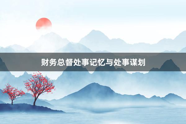 财务总督处事记忆与处事谋划